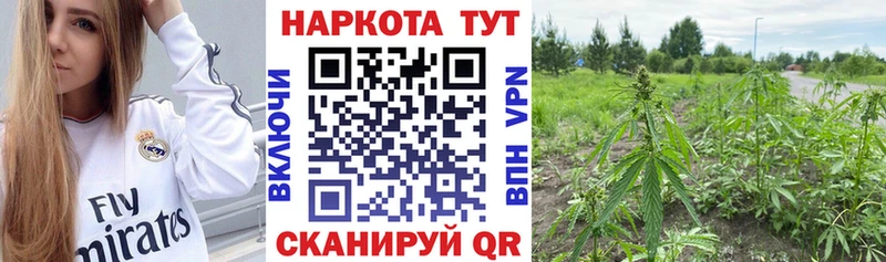 Магазины продажи наркотиков Архангельск LSD-25  КОКАИН  Амфетамин  Меф  ГАШИШ  СОЛЬ  Канабис 