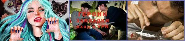 сатива Карталы