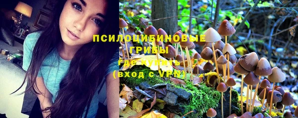 сатива Карталы