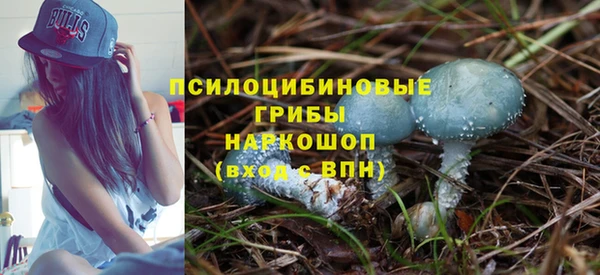 сатива Карталы