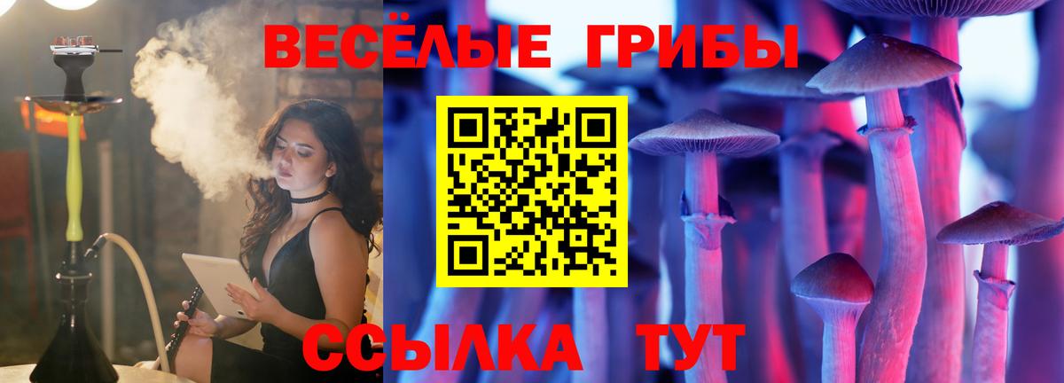 Галлюциногенные грибы MAGIC MUSHROOMS  Вход с VPN  Архангельск 